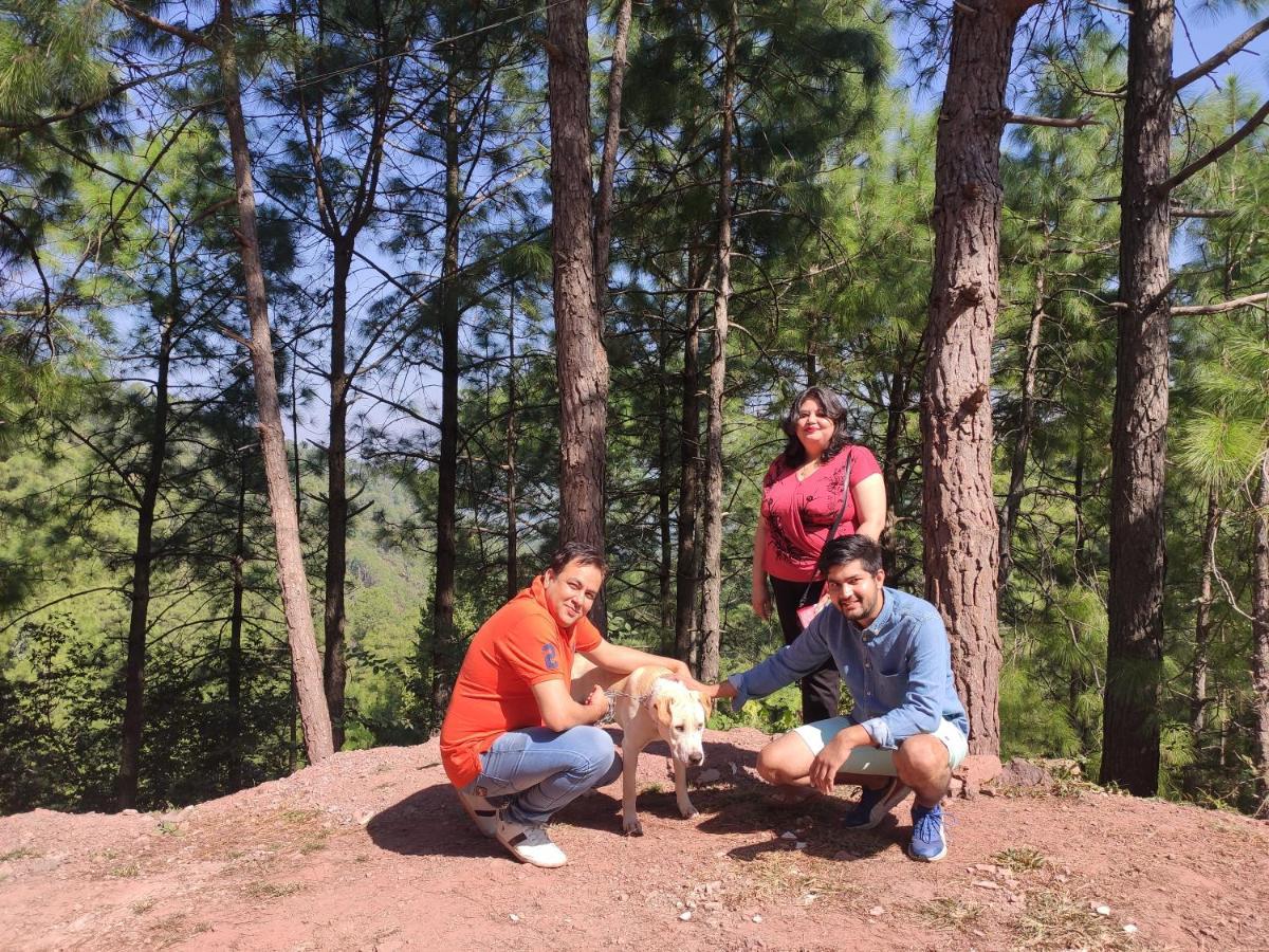The Asgard Kasauli Bed & Breakfast Exterior photo